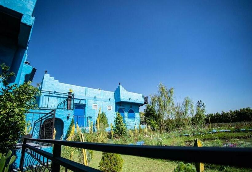 Стандартный Номер Кровать Кинг, Frida Friday