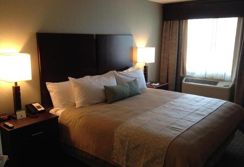 Стандартный Номер Кровать Кинг, Grandstay Hotel & Suites   Glenwood