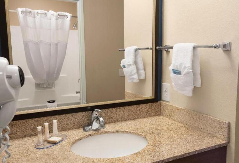 Номер Стандарт, Baymont Inn & Suites By Wyndham Odessa