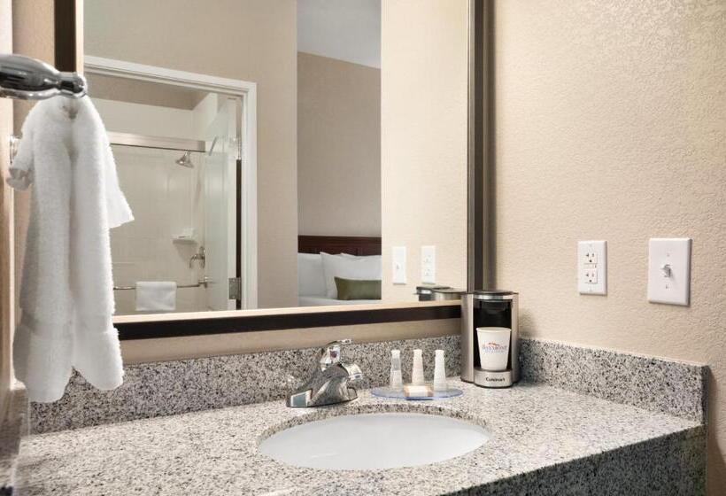 Люкс, Baymont Inn & Suites By Wyndham Odessa