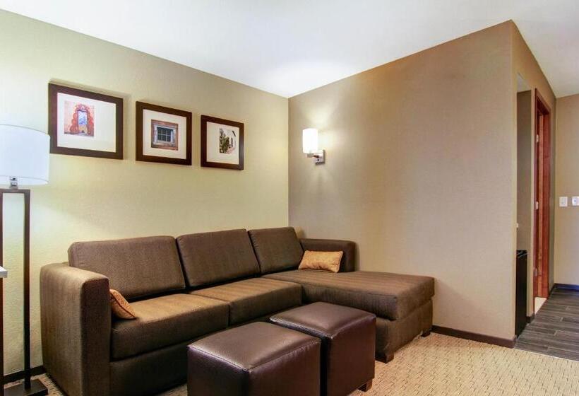带大床的套房, Comfort Suites Carlsbad