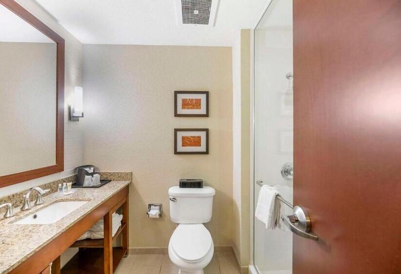 带大床的套房, Comfort Suites Carlsbad