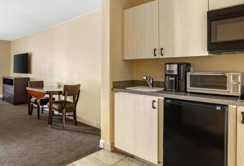Студия Стандарт, Hilton Vacation Club Palm Canyon Palm Springs