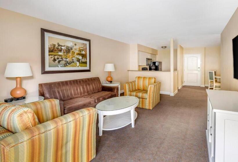 Люкс, Hilton Vacation Club Palm Canyon Palm Springs