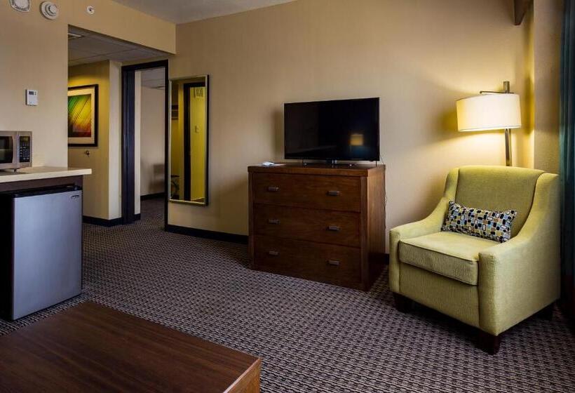 Номер Superior, Holiday Inn Houston Downtown, An Ihg