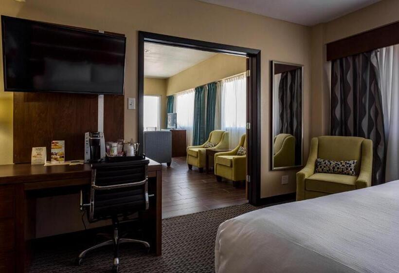 Номер Superior, Holiday Inn Houston Downtown, An Ihg