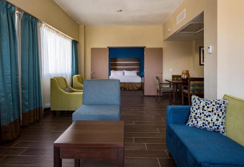 Номер Superior, Holiday Inn Houston Downtown, An Ihg