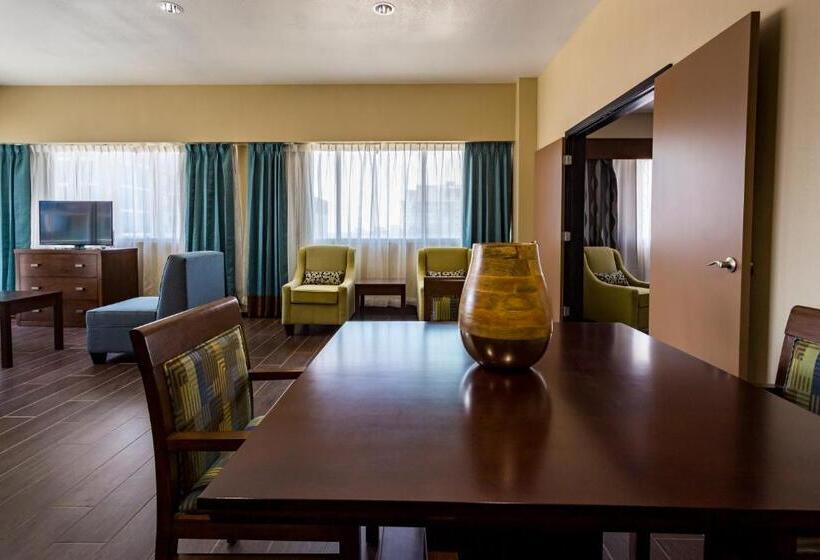 Номер Superior, Holiday Inn Houston Downtown, An Ihg
