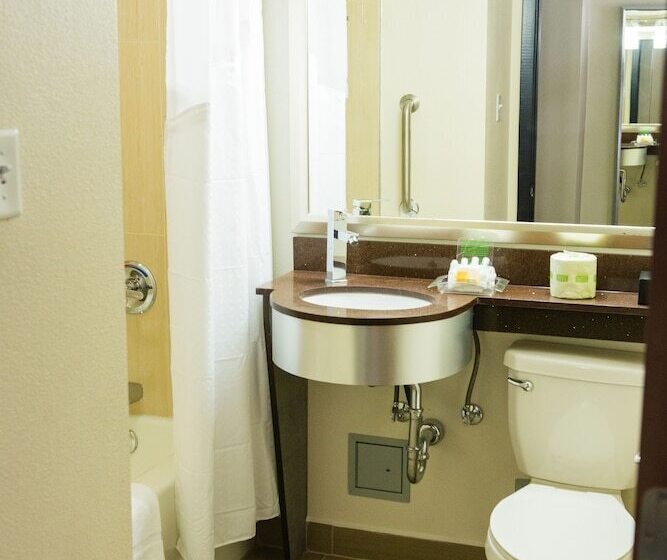 Номер Стандарт 2 Двуспальные Кровати, Holiday Inn Houston Downtown, An Ihg