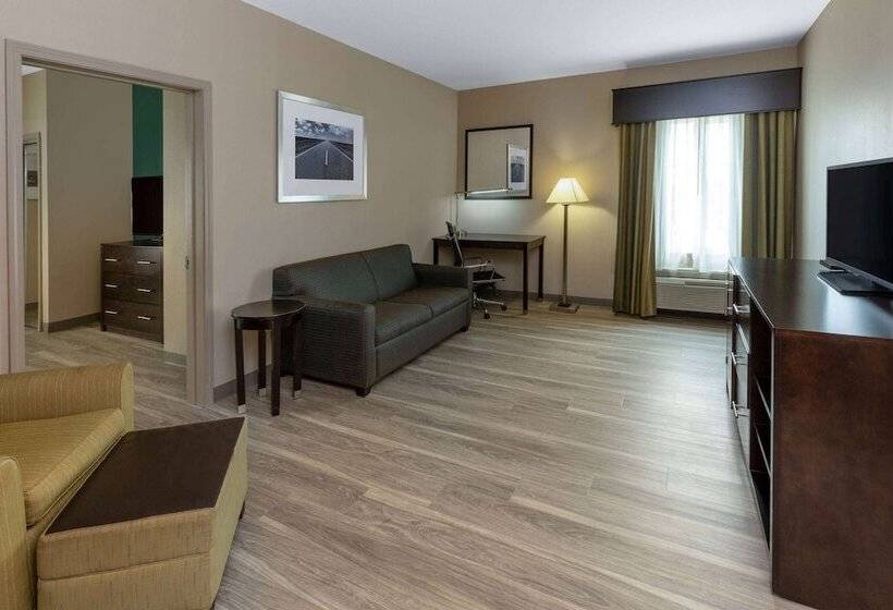 Номер Стандарт, La Quinta Inn & Suites By Wyndham Durant