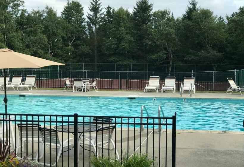 Апартаменты 1 Спальня, Bromley Mountain Condo