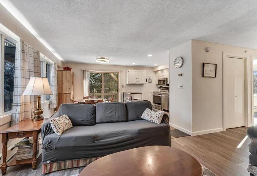 Апартаменты 1 Спальня, Bromley Mountain Condo