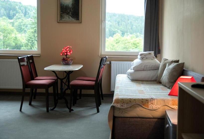 Апартаменты Deluxe 1 Спальня, 4family Resortspa
