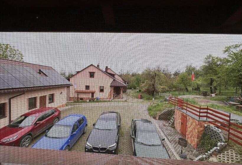 Семейный Номер, Farma Albert Korzenie