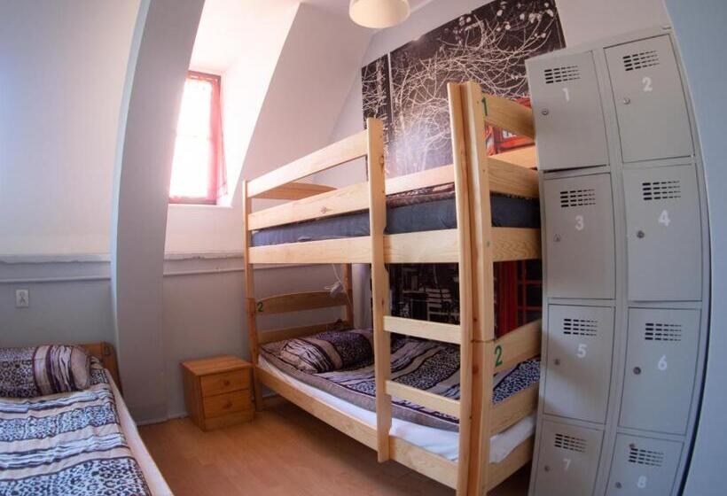 تختخواب در اتاق مشترک, Hostel Universus