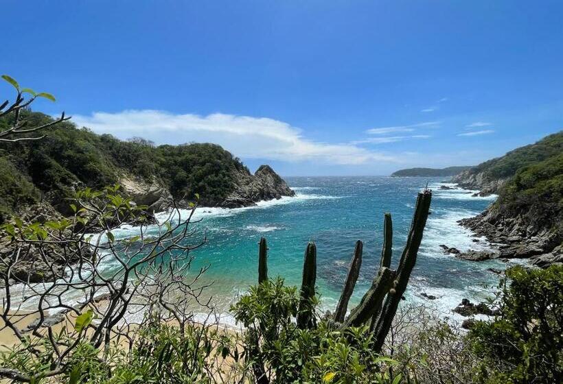 エコノミールーム, Huatulco Hermoso