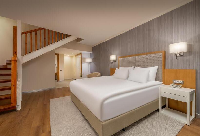 Семейный Номер, Rixos Park Belek, The Land of Legends Access