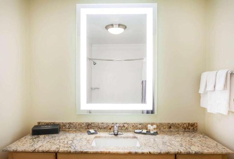 Люкс Кровать Кинг, La Quinta By Wyndham Odessa North
