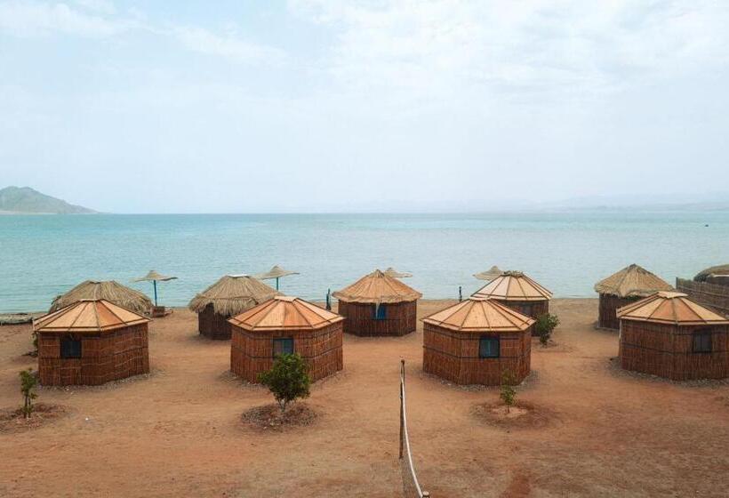 اتاق استاندارد با چشم‌انداز دریا, Abo Hamada Azure Camp