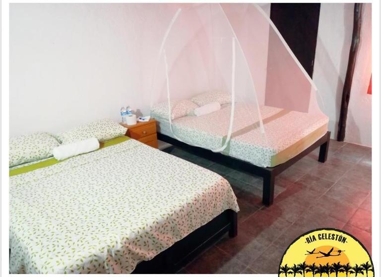 标准单人间, Cabañas Camping Ria Celestun