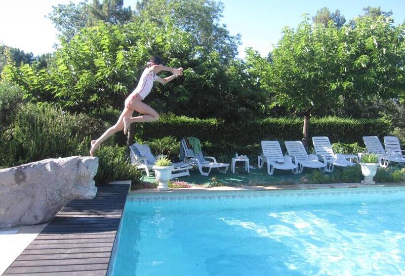 Классический Номер, Domaine Du Planas Ailhon Ardeche