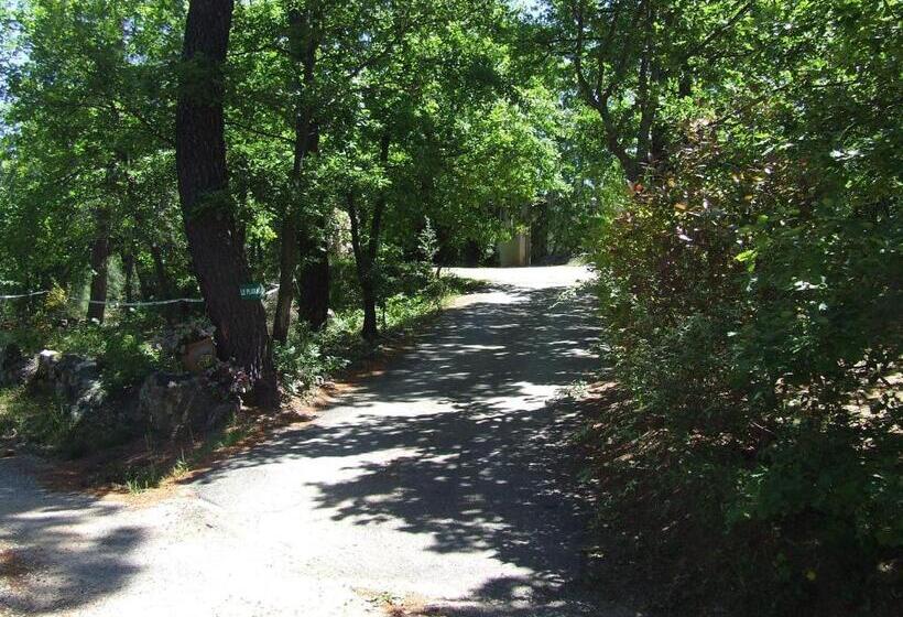 Номер Стандарт, Domaine Du Planas Ailhon Ardeche