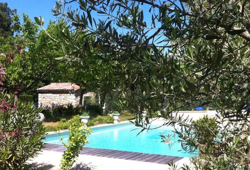 Номер Стандарт, Domaine Du Planas Ailhon Ardeche