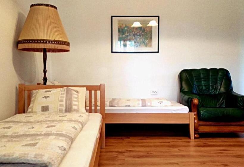 Апартаменты 1 Спальня, Villa Teleki