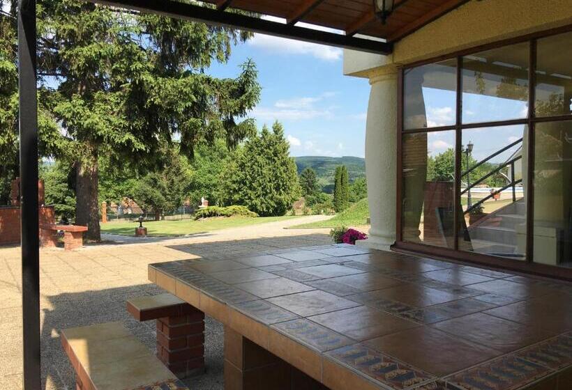 Апартаменты 1 Спальня, Villa Teleki
