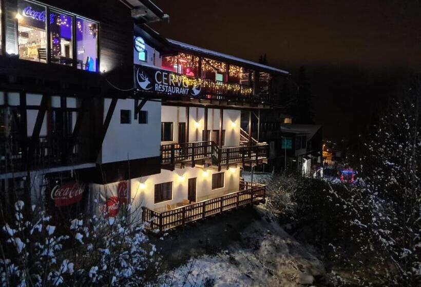 חדר סטודיו סטנדרד, Ski Top Busteni