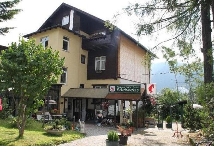 اتاق استاندارد یک نفره, Gasthof Edelweiss