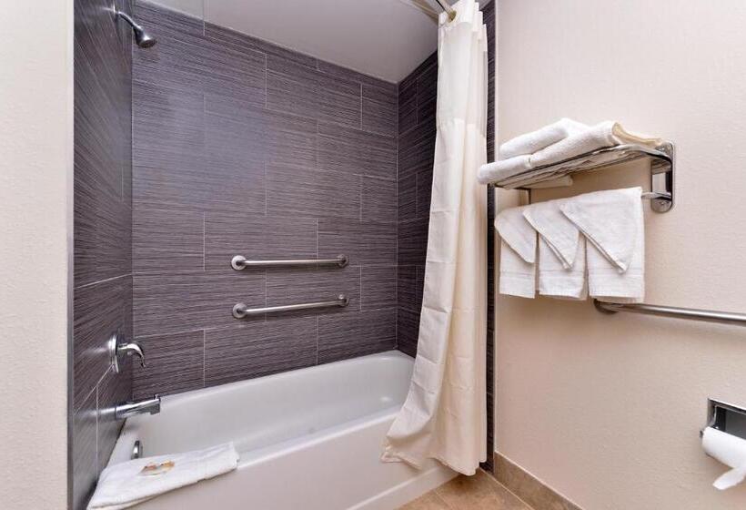 スタンダードルーム, Quality Inn & Suites Matteson Near I57