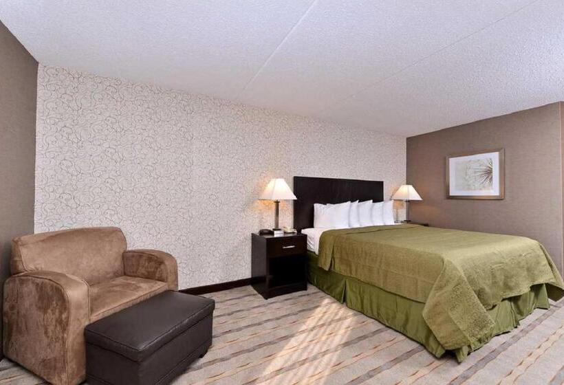 キングサイズベッドのスタンダードルーム, Quality Inn & Suites Matteson Near I57
