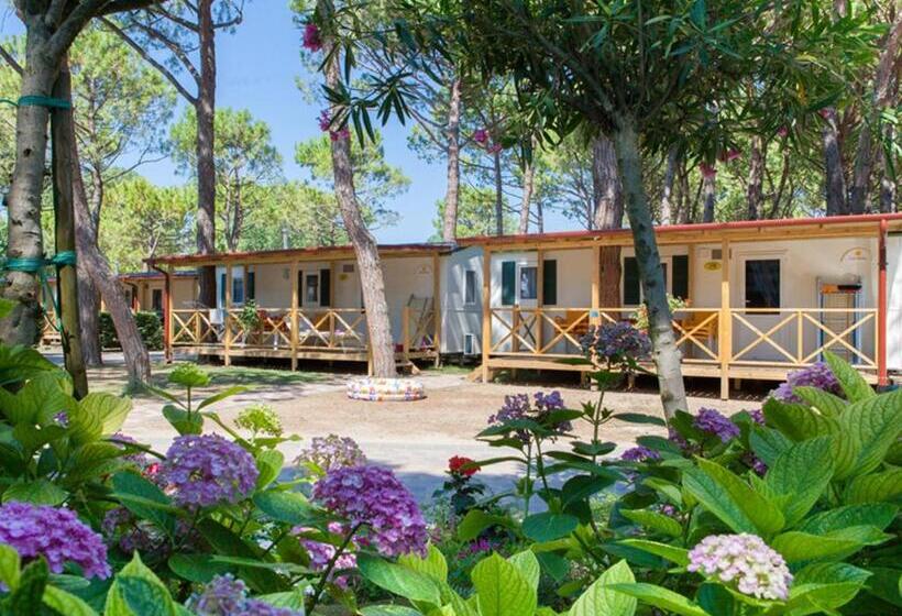 Casa 1 Quarto, Vela Blu Camping Village