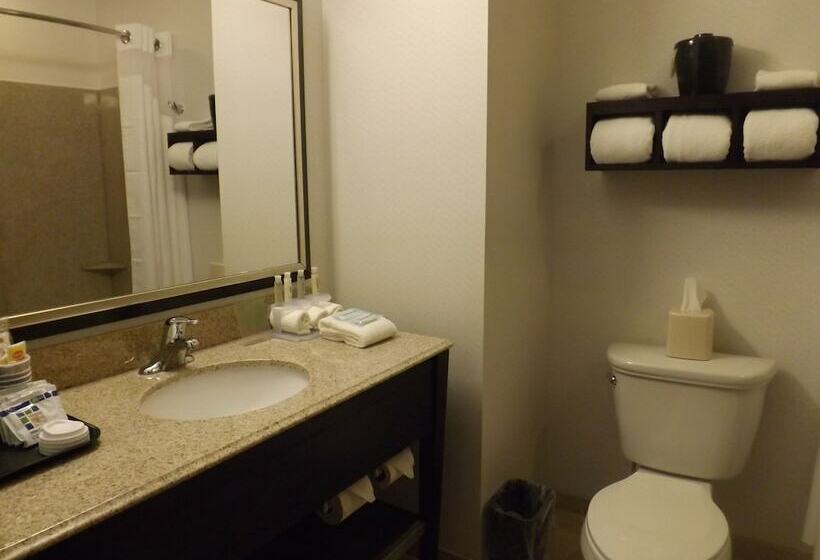 스탠다드 룸 더블 침대 2개, Holiday Inn Express Pittsburgh   Munhall, An Ihg