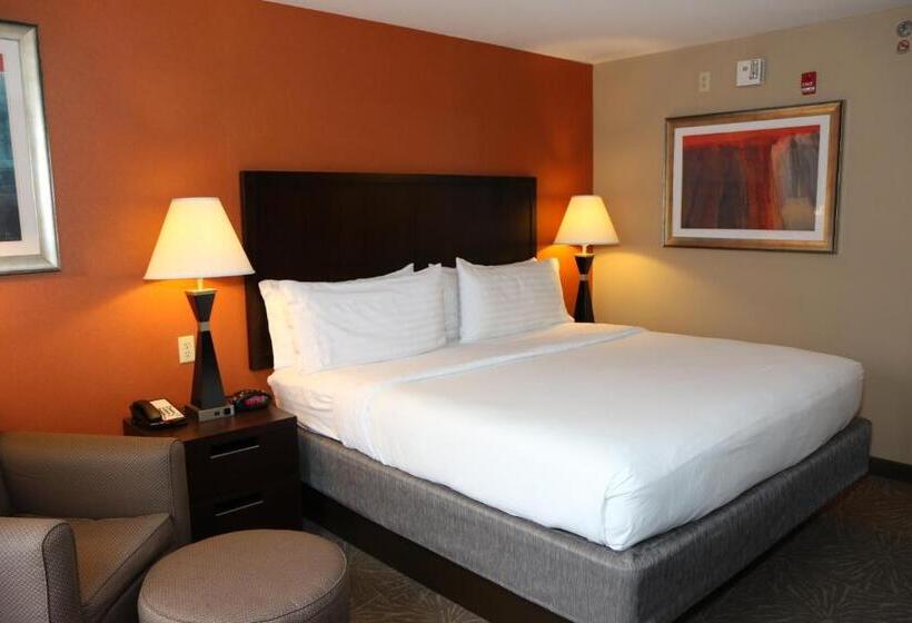 스탠다드 룸 킹사이즈 침대, Holiday Inn Express Pittsburgh   Munhall, An Ihg