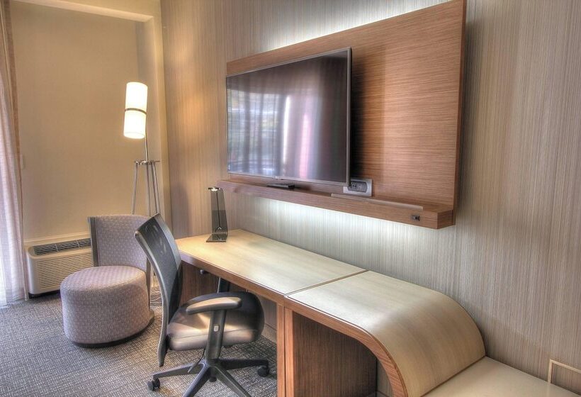 Studio Standard, Courtyard By Marriott Gatlinburg Downtown