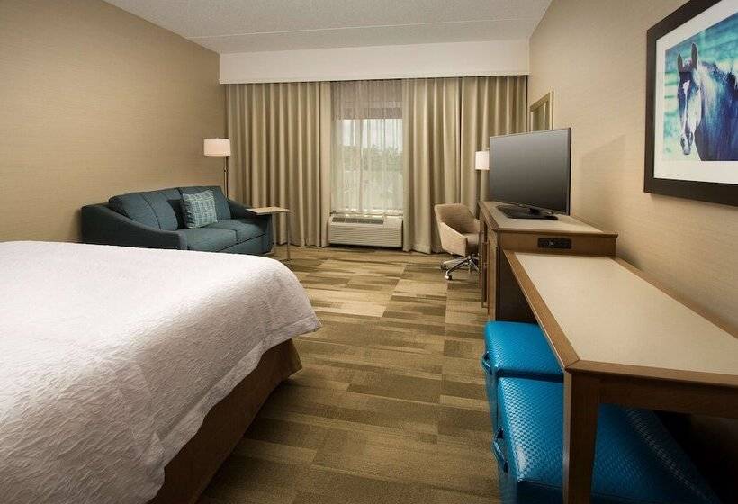 Номер Стандарт Кровать Кинг Адаптированный для Инвалидов, Hampton Inn & Suites Baltimore North/timonium