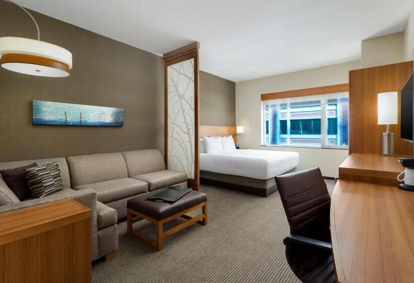스탠다드 룸 킹사이즈 침대, Hyatt Place Chicago/downtown The Loop