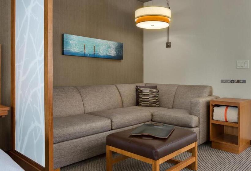 Standard Værelse King-seng Tilpasset til Handicappede, Hyatt Place Chicago/downtown   The Loop