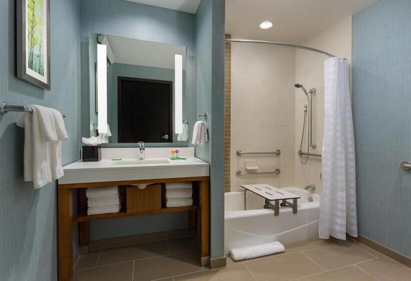 Standard Værelse Tilpasset til Handicappede, Hyatt Place Chicago/downtown   The Loop