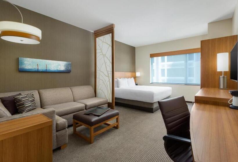 Standard Værelse King Size Seng, Hyatt Place Chicago/downtown   The Loop