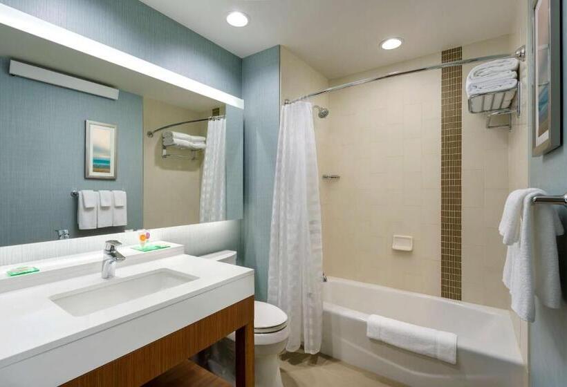 스탠다드 룸 더블 침대 2개, Hyatt Place Chicago/downtown The Loop