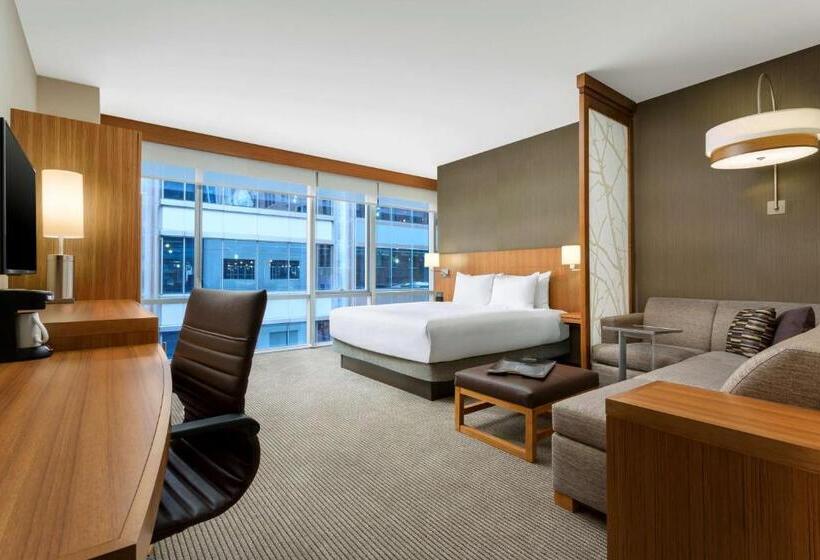 Standard Værelse King Size Seng, Hyatt Place Chicago/downtown   The Loop