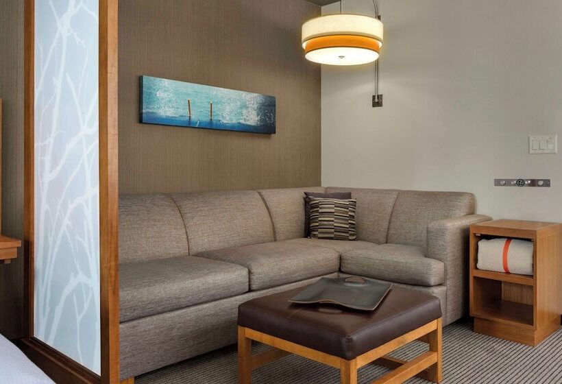 Standard Værelse Tilpasset til Handicappede, Hyatt Place Chicago/downtown   The Loop