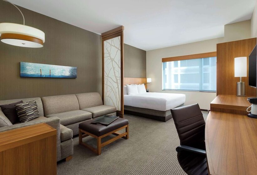 장애인을 위한 스탠다드 룸, Hyatt Place Chicago/downtown The Loop