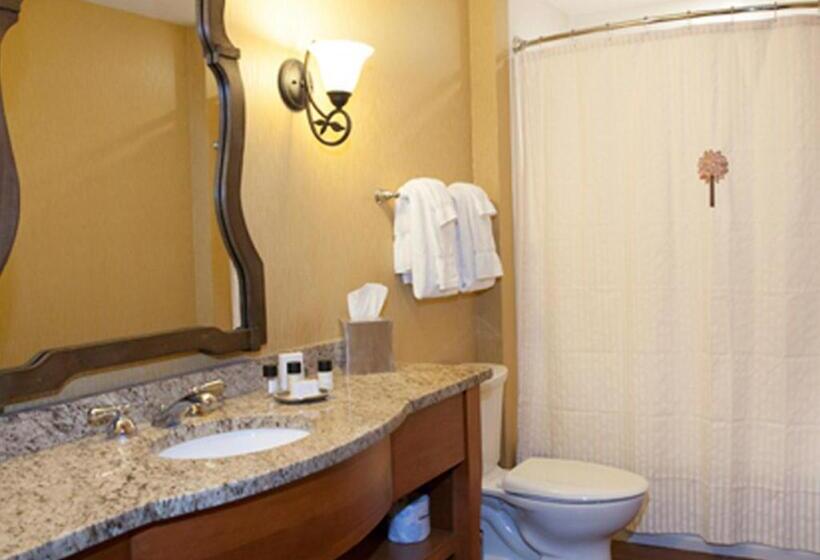 Номер Стандартный Кровать Куин, Oglebay Resort