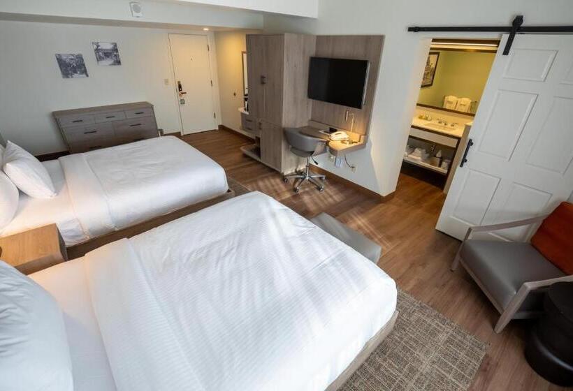 Номер Стандарт, Oglebay Resort