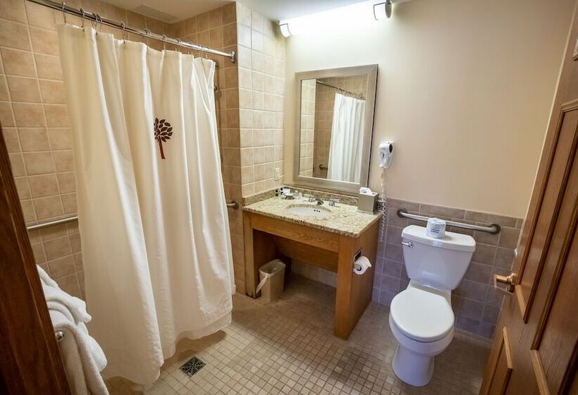 Номер Deluxe, Oglebay Resort