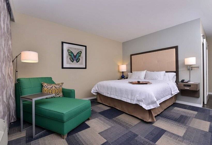 스탠다드 룸 킹사이즈 침대, Hampton Inn Broussardlafayette Area